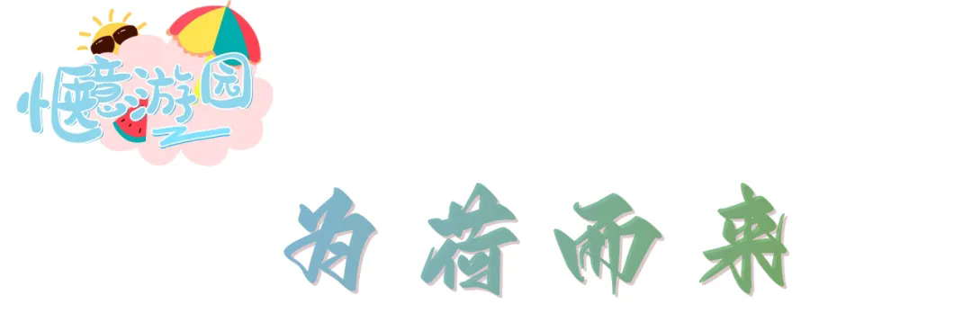 640.webp (5).png