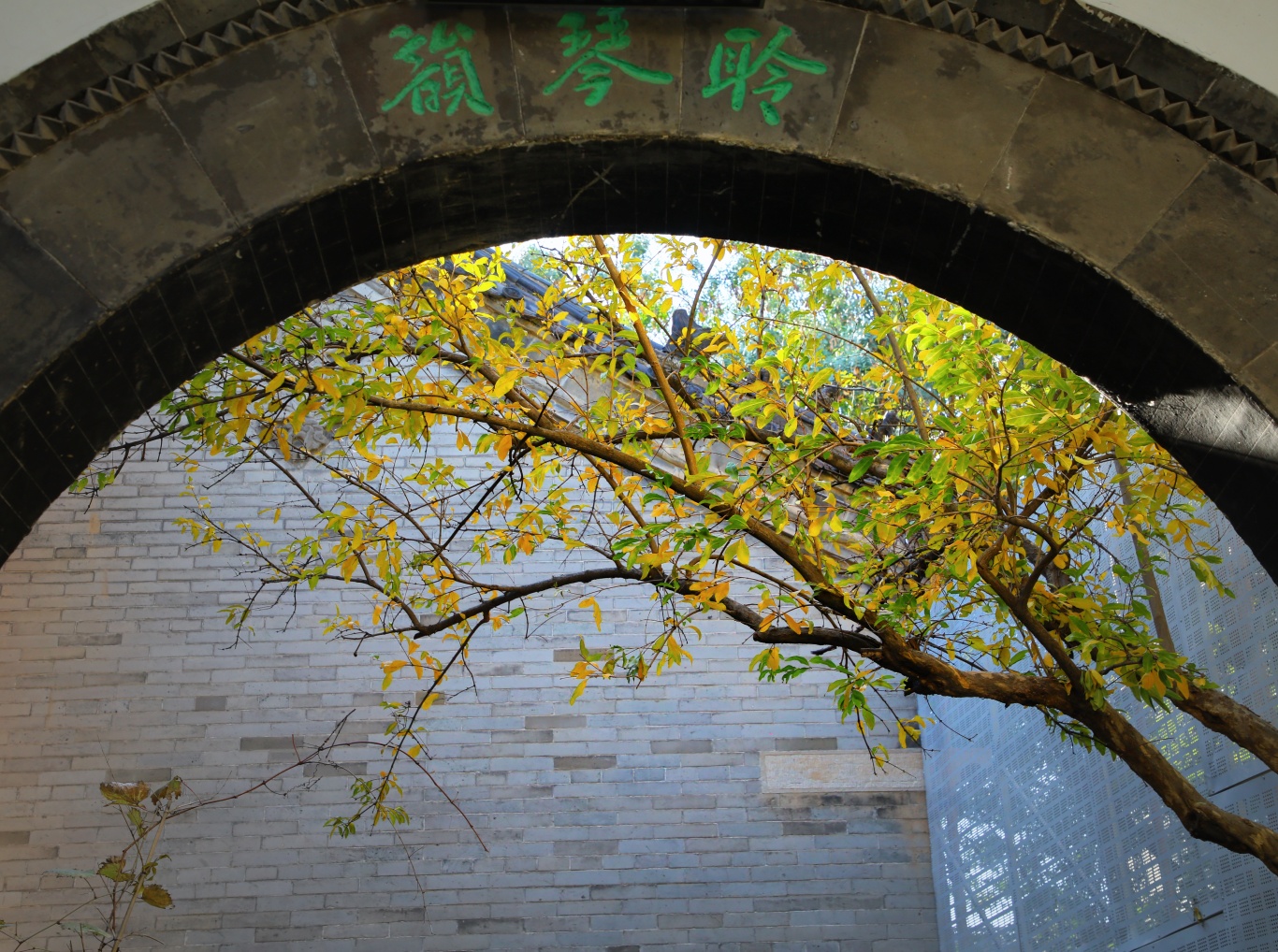 微信图片_20241106132757.jpg