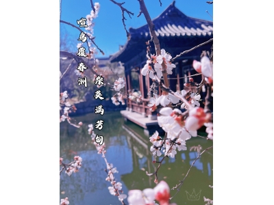 春分过后，来古商城寻春吧