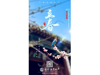立春|春风十里，不如周村有你